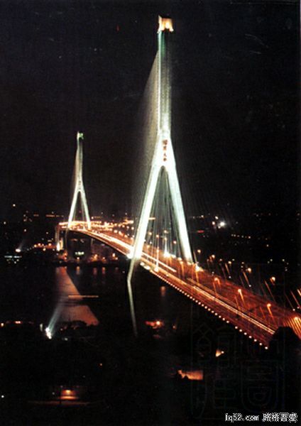 杨浦大桥夜景.jpg