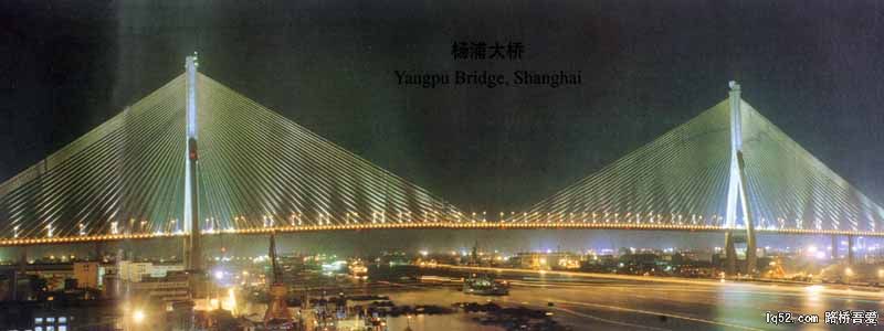 杨浦夜景.jpg