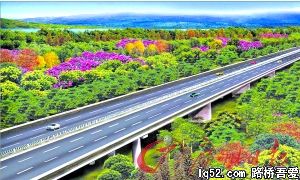“亚运通道”披花戴绿巧梳妆